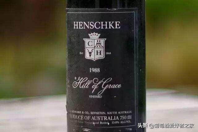 澳洲 10 大最贵葡萄酒，奔富不是冠亚军