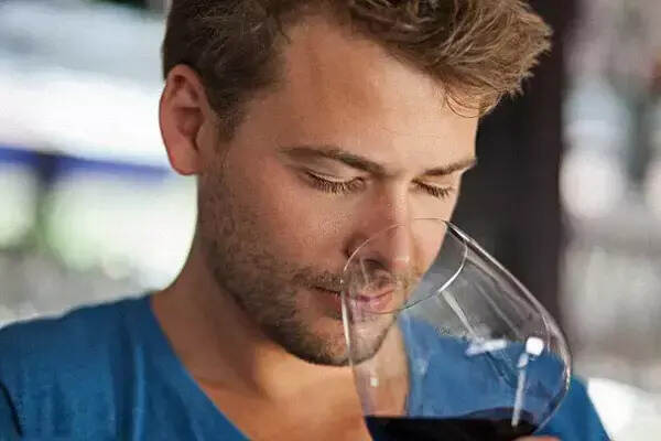 为什么喝点葡萄酒会给生活带来这么多变化？