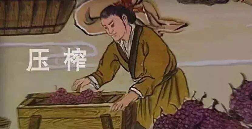 红酒在中国历史上是怎样发展的？干了这份案例你才能更了解红酒
