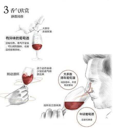 成为葡萄酒鉴酒师只需这几步，9张图让你成为红酒品鉴大神