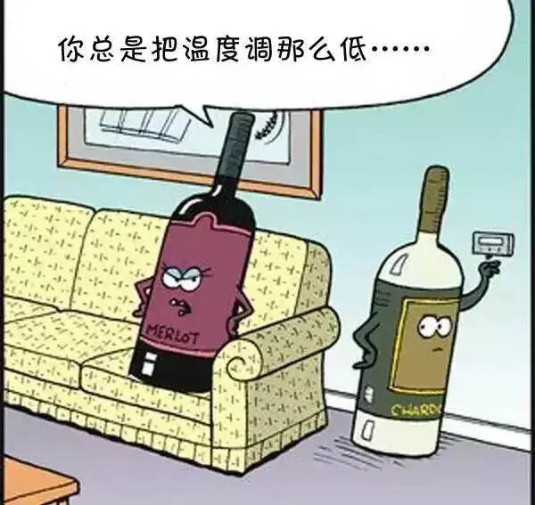 葡萄酒趣味漫画，望博尔一笑！