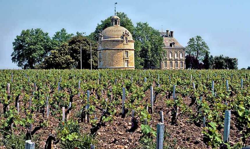世界上五大注著名酒庄了解一下，都在法国，著名的拉菲也产于此