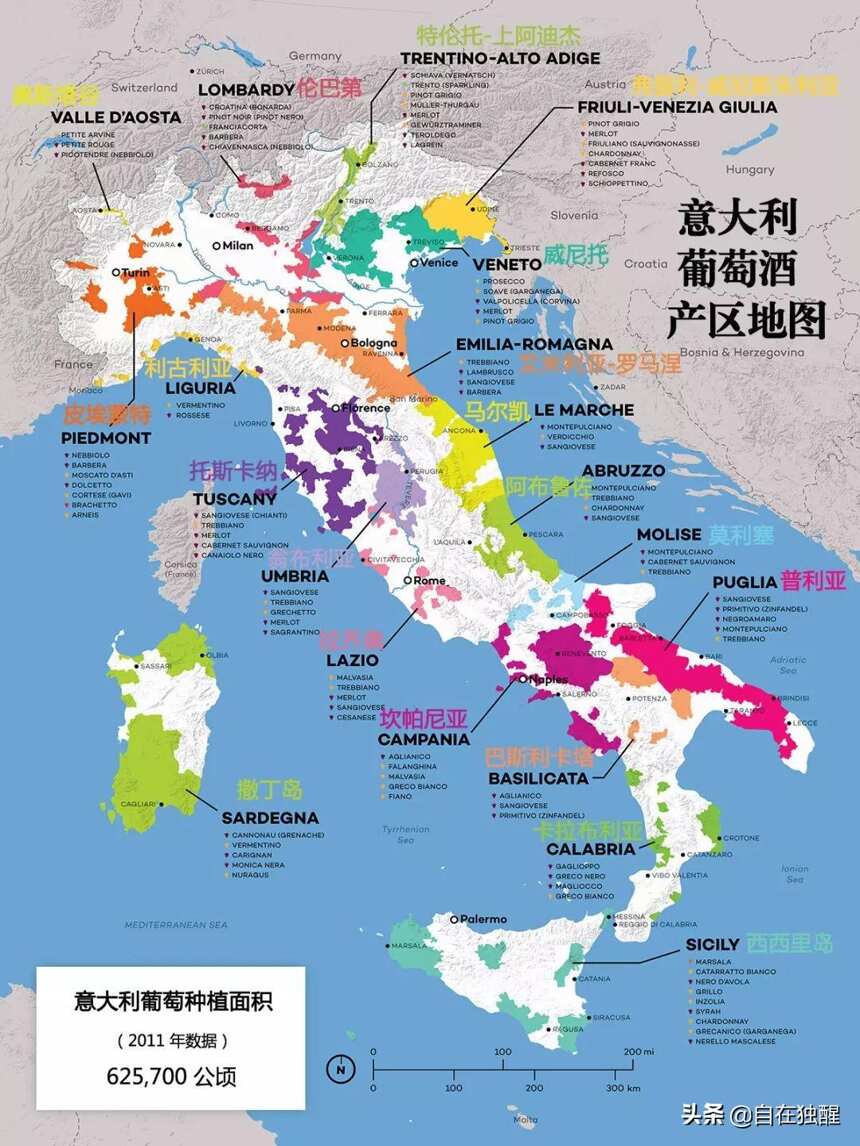 意大利葡萄酒产区指南