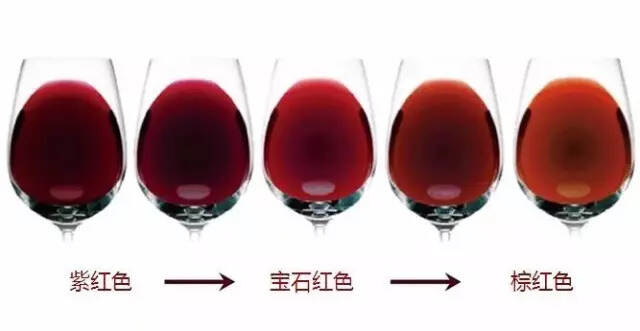 为什么不同的葡萄酒颜色差异很大？