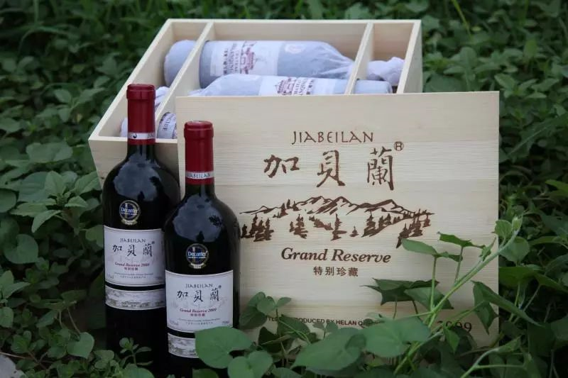 炫丽之巅·贺兰晴雪 | TA改变了世界对中国葡萄酒的偏见