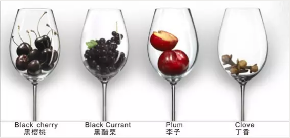 葡萄品种不一样，酿出的葡萄酒口感也不一样