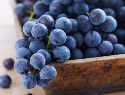 晚熟喜热且单宁厚重的葡萄品种，慕合怀特