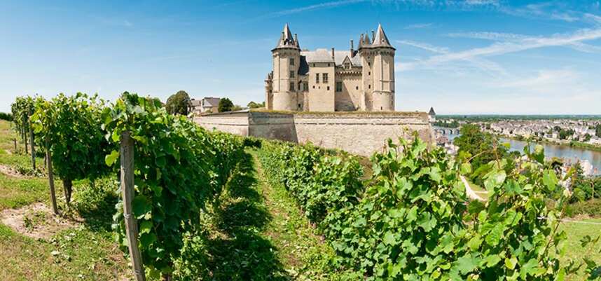 关于卢瓦尔河谷葡萄酒10 个令人惊讶隐藏的瑰宝