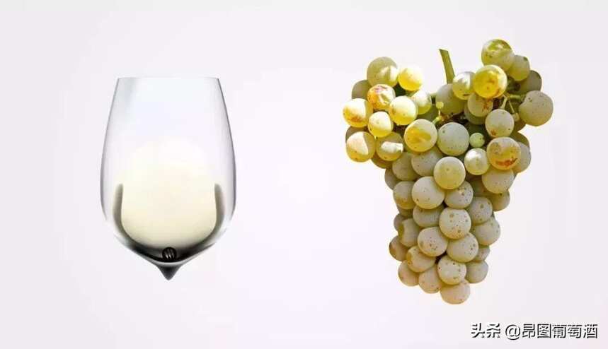 除了葡萄酒，其它的水果酒难道不好喝吗？难道只能榨汁儿？