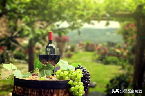 葡萄酒之旅：国外葡萄酒业新的经济增长点，我国游客影响不容小觑
