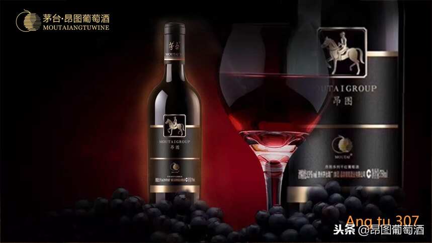 葡萄酒的“黑色果香”VS“红色果香” 你分得清吗？