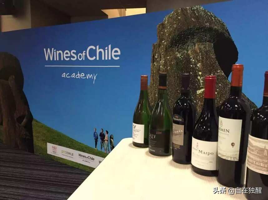 智利葡萄酒，为什么性价比这么高？