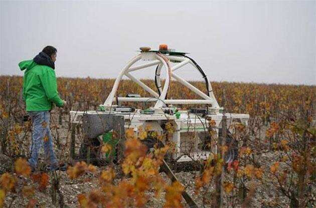 克拉米伦酒庄使用机器人在葡萄园里育土和除草