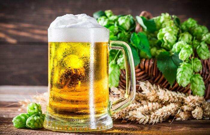 知道为什么要用麦芽和酒花来酿造啤酒吗？