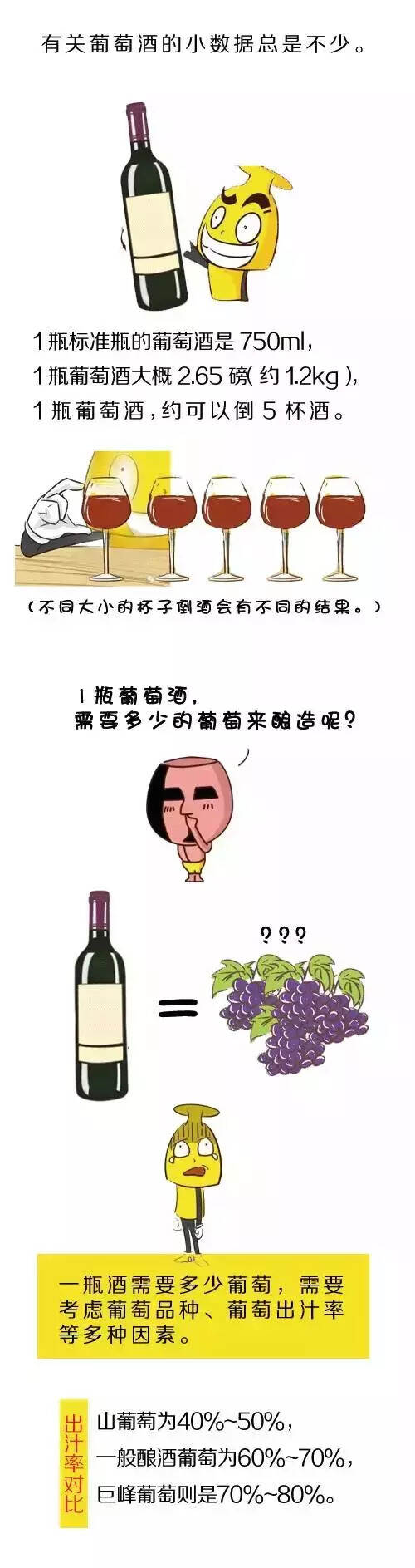 酿一瓶葡萄酒需要多少葡萄呢？