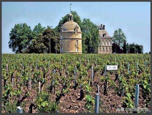 葡萄酒之乡！法国十大顶级酒庄，除了拉菲、柏拉图还有哪些上榜？