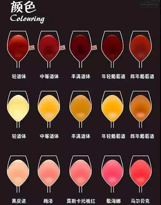 轻松几步，教你迅速解读葡萄酒颜色透露出的小秘密！