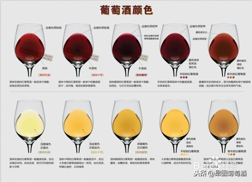 品鉴酒入门！最最基本的葡萄酒颜色知识，想要了解葡萄酒必须掌握