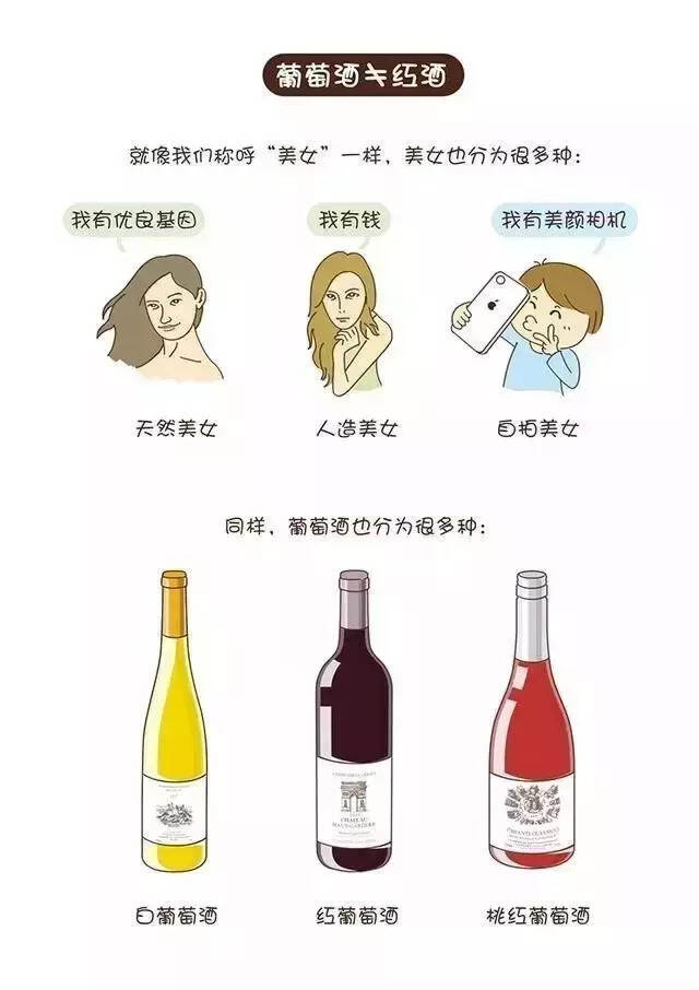 红酒和葡萄酒是一样的吗？