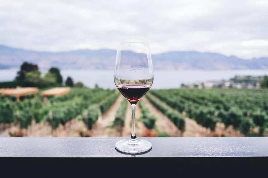 红酒和葡萄酒到底有什么区别？