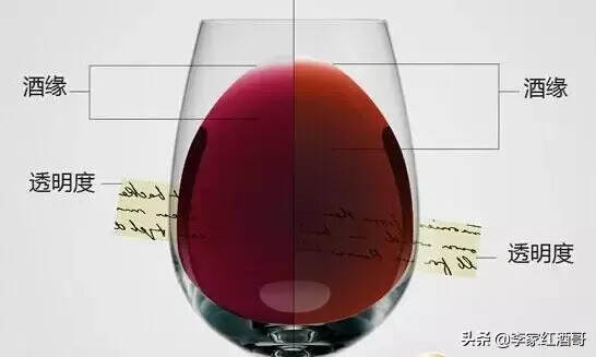 为什么要45°看葡萄酒？有什么作用呢？