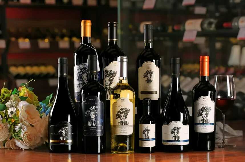 中国成为智利高价位葡萄酒主要买家！哪些品牌值得我们关注？