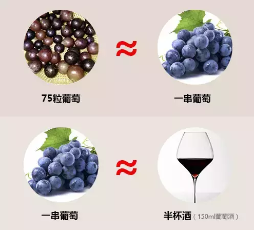 下面这些关于葡萄酒的数字，你知道吗？