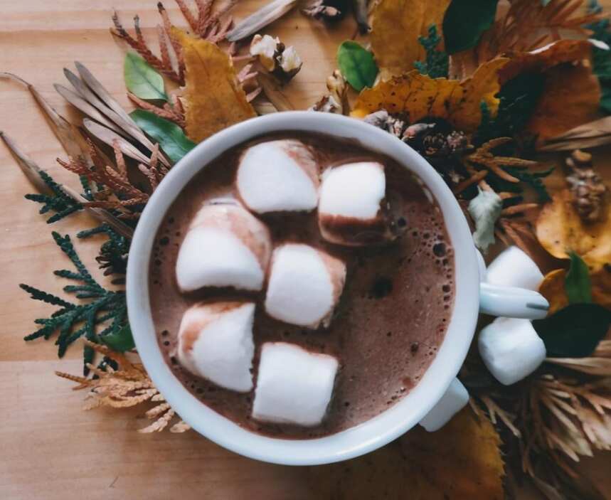 冬季特饮：做一杯暖暖的红酒热巧克力
