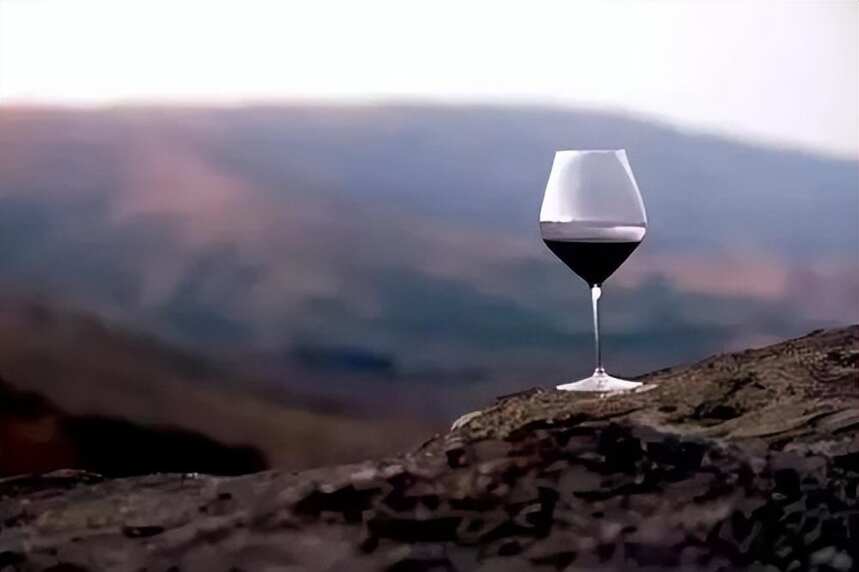 【法庄】伟大的葡萄酒大多诞生在坏年份！