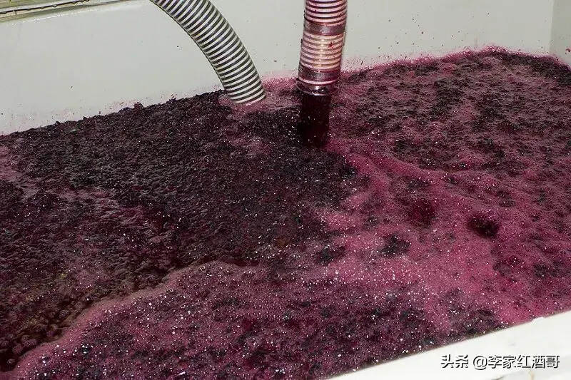 葡萄酒竟然是这样酿造的