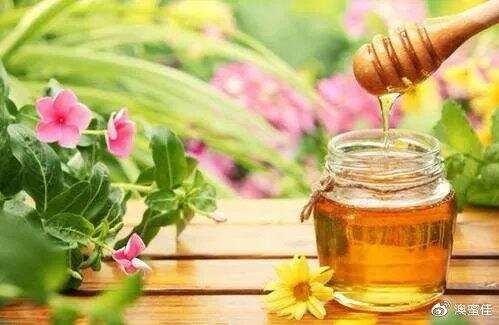 今天，你喝蜂蜜了吗？