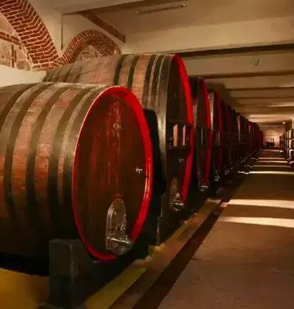 北马其顿的历史文化，领略STOBI（斯多比）酒庄葡萄酒的魅力