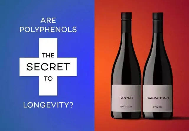 什么类型的红酒是“好”?