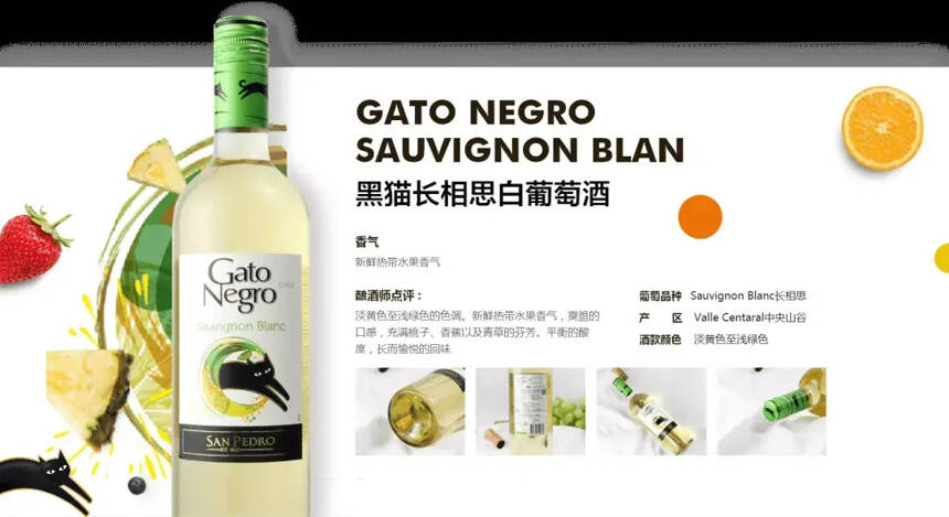 全球No.6葡萄酒品牌 - 黑猫Gato Negro如何引领葡萄酒时尚风潮？