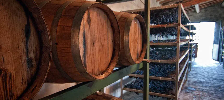 意大利成为第一个拥有葡萄酒可持续标准的国家