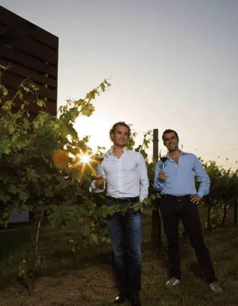 市场增长空间大，意大利葡萄酒该如何脱颖而出？
