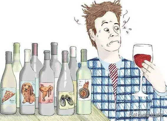 为什么喝葡萄酒不直接咽下去？