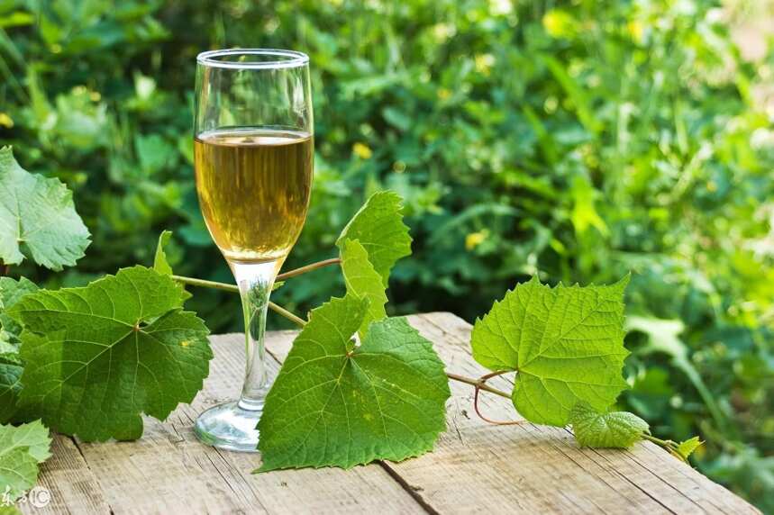 树龄越老，葡萄越好，葡萄好，酿的酒自然好？