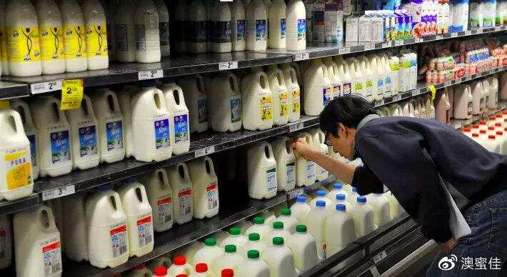 在澳洲牛奶当水喝，原来牛奶还分这么多！喝错就胖了……