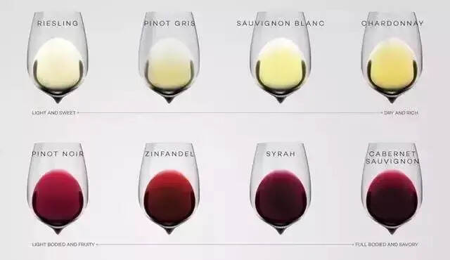 喝过这8个品种，才算入门葡萄酒世界