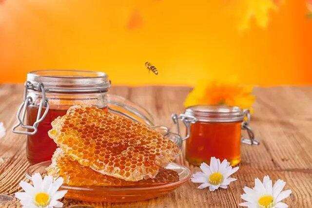 你喝的蜂蜜，是蜜峰吐出来还是拉出来的？