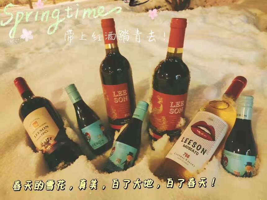 云仓酒庄的雷盛跟你浅谈旧世界葡萄酒与新世界葡萄酒