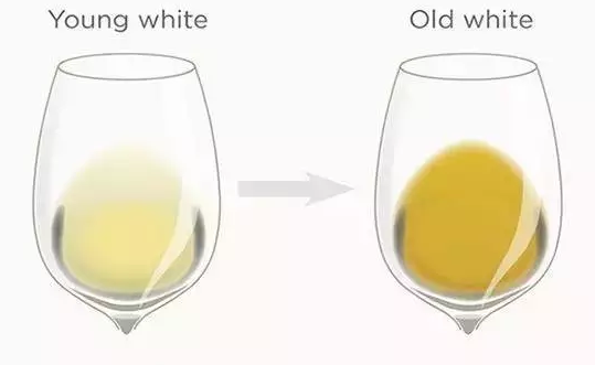 如何判断一款酒的陈年潜力？