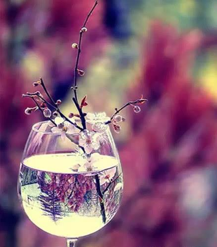 ​一杯子,一辈子只要用心,一杯葡萄酒便能创造出极致的浪漫!
