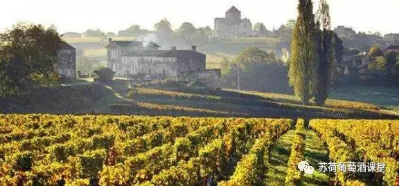 法国葡萄酒产区产区知识点之拥有丰富本土品种的西南产区