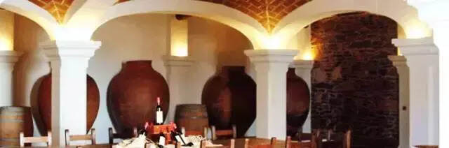 航海家红葡萄酒：葡萄牙国产多瑞加和紫北塞酿制 大航海纪念酒