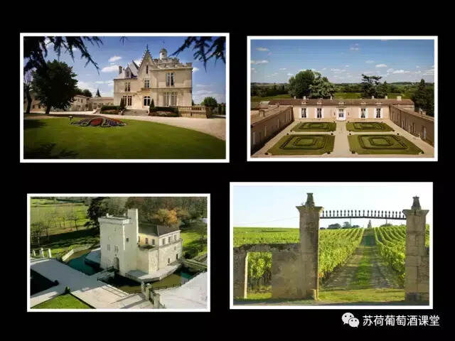 法国总统马克龙关于葡萄酒的视频采访原文实录（附相关酒知识点）