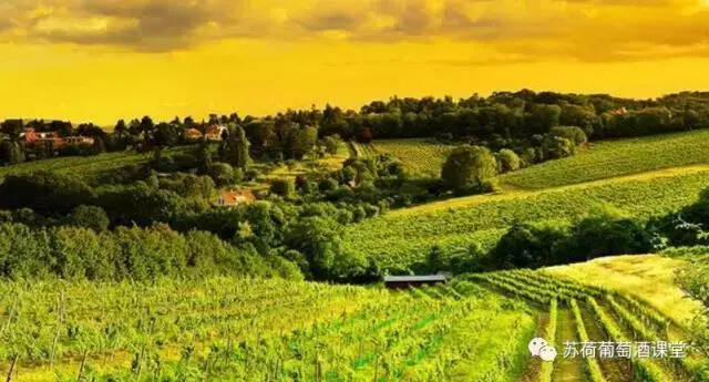 意大利葡萄酒产区知识点之发展迅猛的威尼托