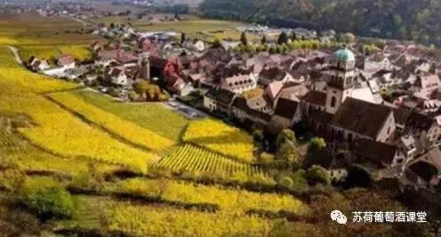 法国葡萄酒产区知识点之很像德国的阿尔萨斯