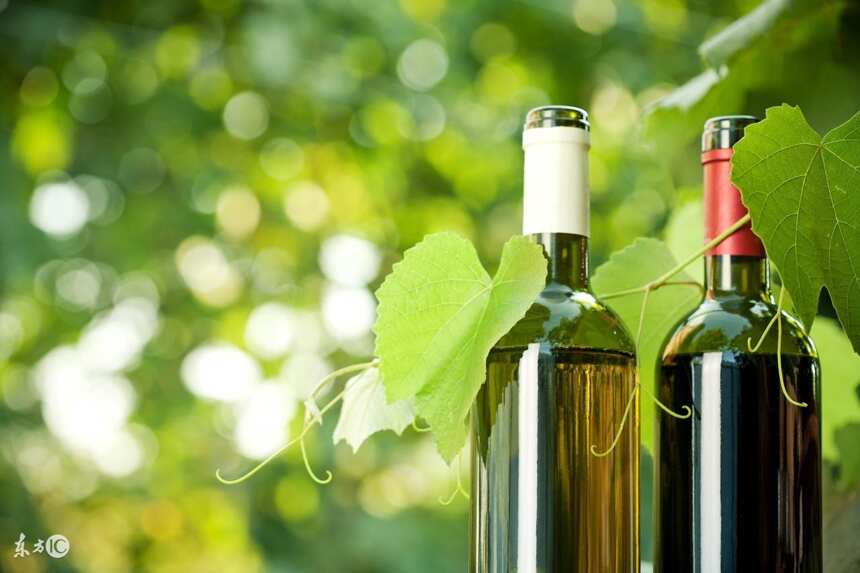 葡萄酒为什么有的便宜有的贵？